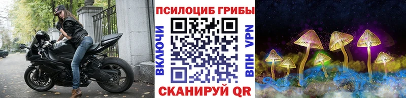 МЕГА вход  купить   Моздок  Псилоцибиновые грибы Magic Shrooms 